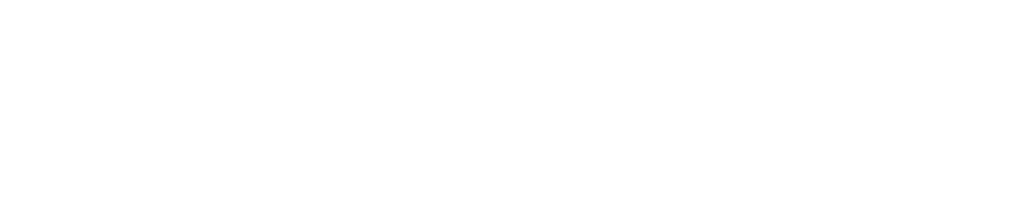 WpGeoPress Logo